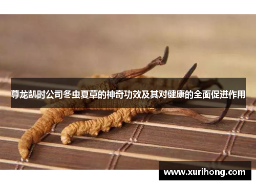 尊龙凯时公司冬虫夏草的神奇功效及其对健康的全面促进作用 尊龙凯时公司冬虫夏草的神奇功效及其对健康的全面促进作用
