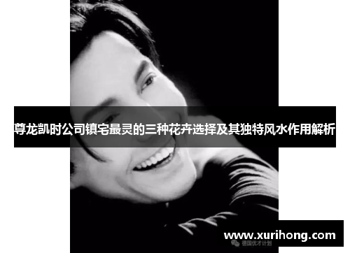 尊龙凯时公司镇宅最灵的三种花卉选择及其独特风水作用解析 尊龙凯时公司镇宅最灵的三种花卉选择及其独特风水作用解析