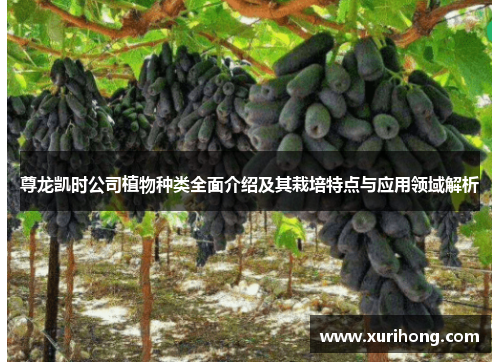 尊龙凯时公司植物种类全面介绍及其栽培特点与应用领域解析 尊龙凯时公司植物种类全面介绍及其栽培特点与应用领域解析